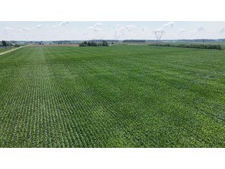 Property photo 4 - LAND AUCTION 97.46+/-ACRES OFFERED IN 2 TRACTS IN MERCER COUNTY, OHIO