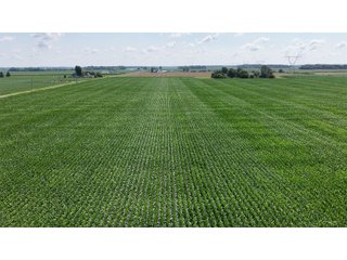 Property photo 5 - LAND AUCTION 97.46+/-ACRES OFFERED IN 2 TRACTS IN MERCER COUNTY, OHIO