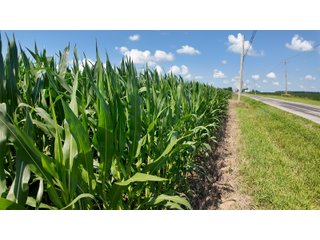 Property photo 17 - LAND AUCTION 97.46+/-ACRES OFFERED IN 2 TRACTS IN MERCER COUNTY, OHIO