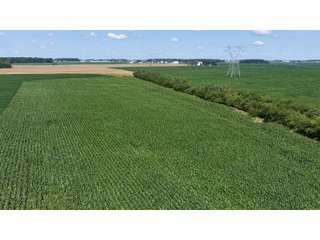 Property photo 6 - LAND AUCTION 97.46+/-ACRES OFFERED IN 2 TRACTS IN MERCER COUNTY, OHIO