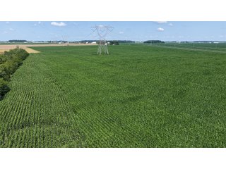 Property photo 7 - LAND AUCTION 97.46+/-ACRES OFFERED IN 2 TRACTS IN MERCER COUNTY, OHIO