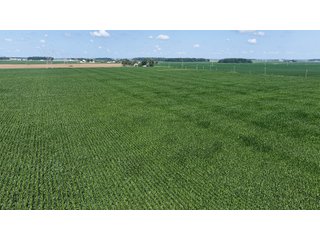 Property photo 9 - LAND AUCTION 97.46+/-ACRES OFFERED IN 2 TRACTS IN MERCER COUNTY, OHIO