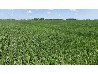 Property photo 13 - LAND AUCTION 97.46+/-ACRES OFFERED IN 2 TRACTS IN MERCER COUNTY, OHIO