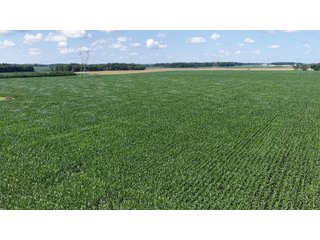 Property photo 8 - LAND AUCTION 97.46+/-ACRES OFFERED IN 2 TRACTS IN MERCER COUNTY, OHIO