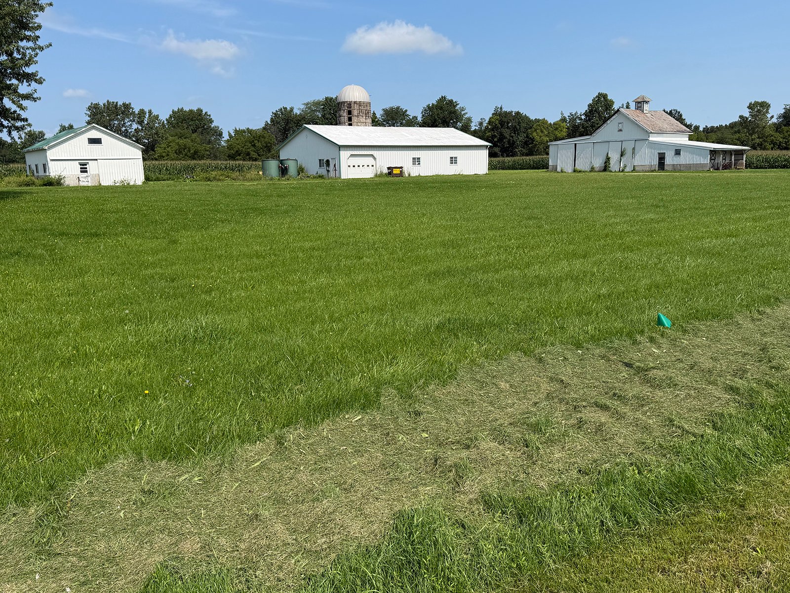 Property photo 24 - FARMLAND AUCTION - 124+/-ACRES OFFERED IN 9 TRACTS IN DEFIANCE COUNTY, OHIO