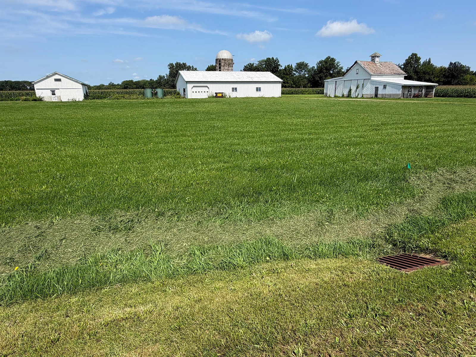 Property photo 25 - FARMLAND AUCTION - 124+/-ACRES OFFERED IN 9 TRACTS IN DEFIANCE COUNTY, OHIO