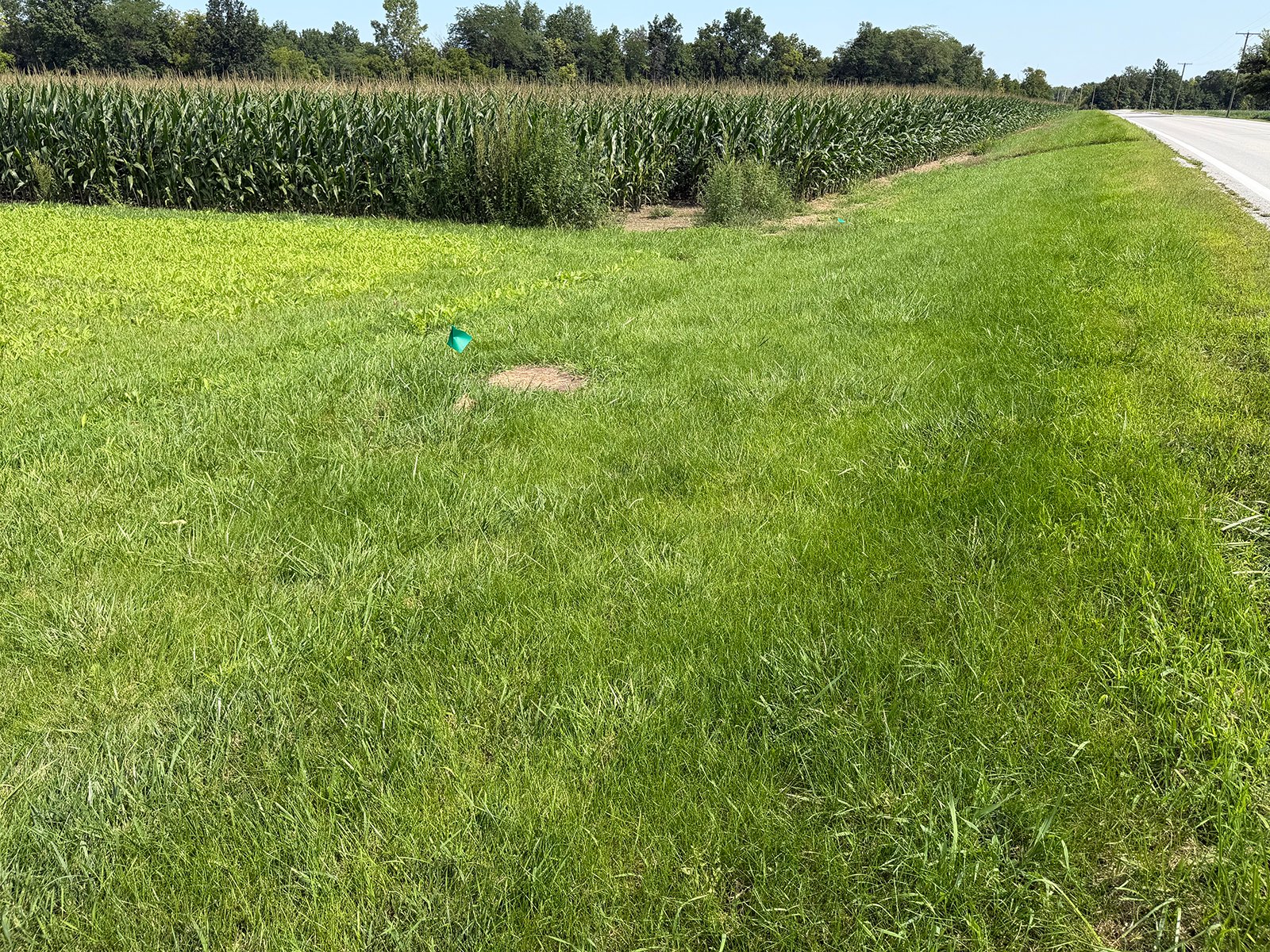 Property photo 34 - FARMLAND AUCTION - 124+/-ACRES OFFERED IN 9 TRACTS IN DEFIANCE COUNTY, OHIO