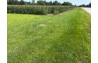 Property photo 34 - FARMLAND AUCTION - 124+/-ACRES OFFERED IN 9 TRACTS IN DEFIANCE COUNTY, OHIO