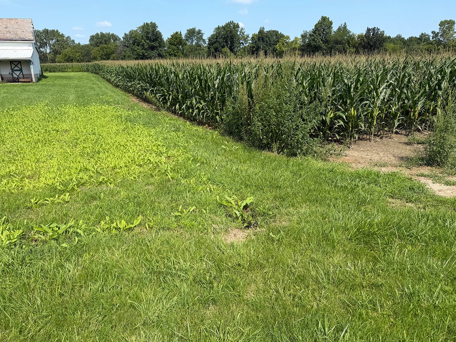 Property photo 35 - FARMLAND AUCTION - 124+/-ACRES OFFERED IN 9 TRACTS IN DEFIANCE COUNTY, OHIO