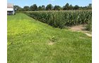 Property photo 35 - FARMLAND AUCTION - 124+/-ACRES OFFERED IN 9 TRACTS IN DEFIANCE COUNTY, OHIO