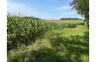 Property photo 37 - FARMLAND AUCTION - 124+/-ACRES OFFERED IN 9 TRACTS IN DEFIANCE COUNTY, OHIO