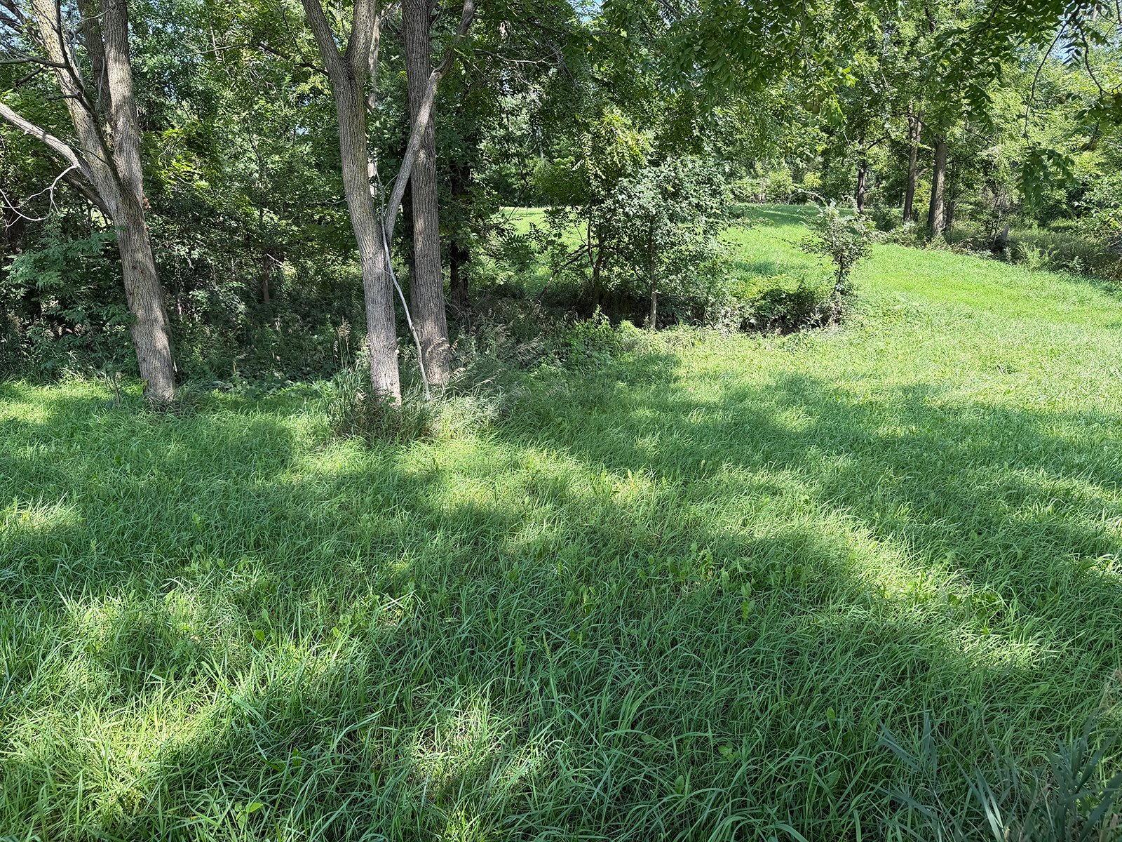 Property photo 38 - FARMLAND AUCTION - 124+/-ACRES OFFERED IN 9 TRACTS IN DEFIANCE COUNTY, OHIO