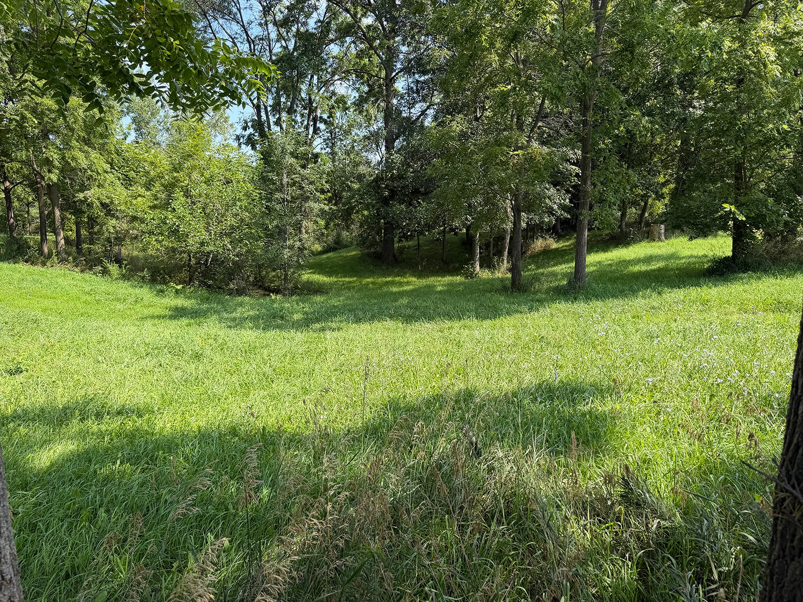 Property photo 39 - FARMLAND AUCTION - 124+/-ACRES OFFERED IN 9 TRACTS IN DEFIANCE COUNTY, OHIO