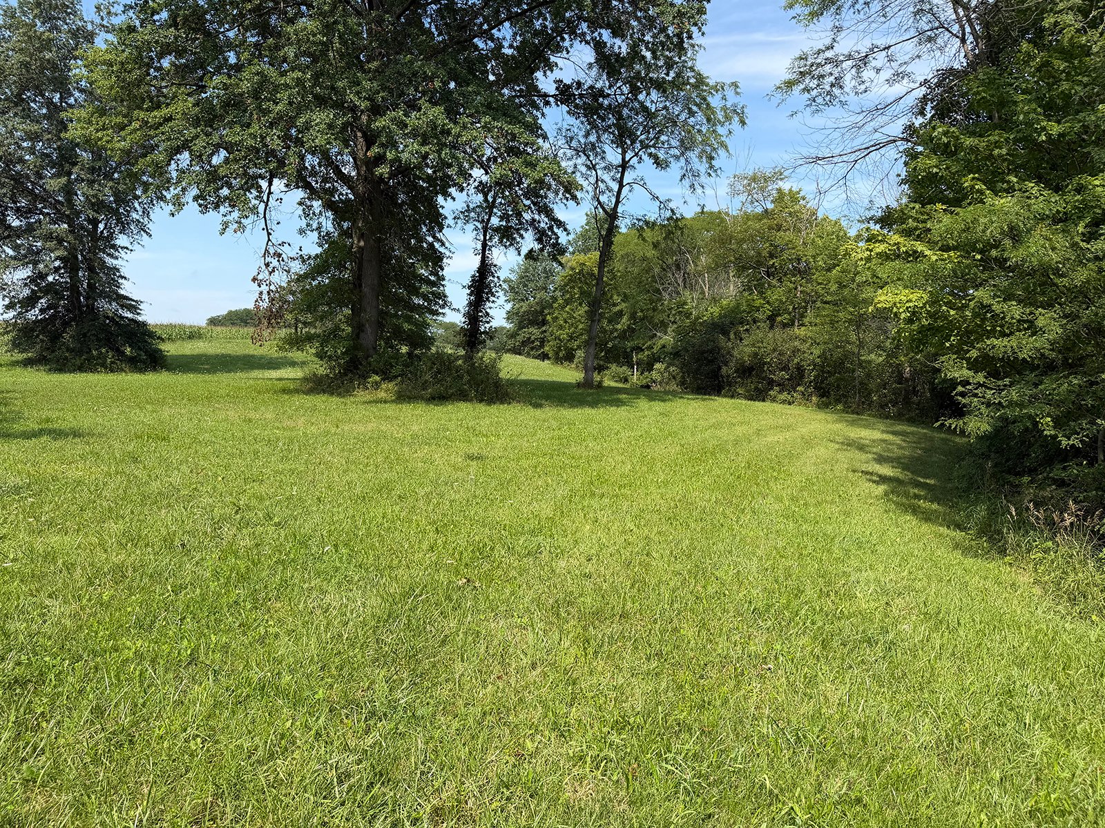 Property photo 40 - FARMLAND AUCTION - 124+/-ACRES OFFERED IN 9 TRACTS IN DEFIANCE COUNTY, OHIO