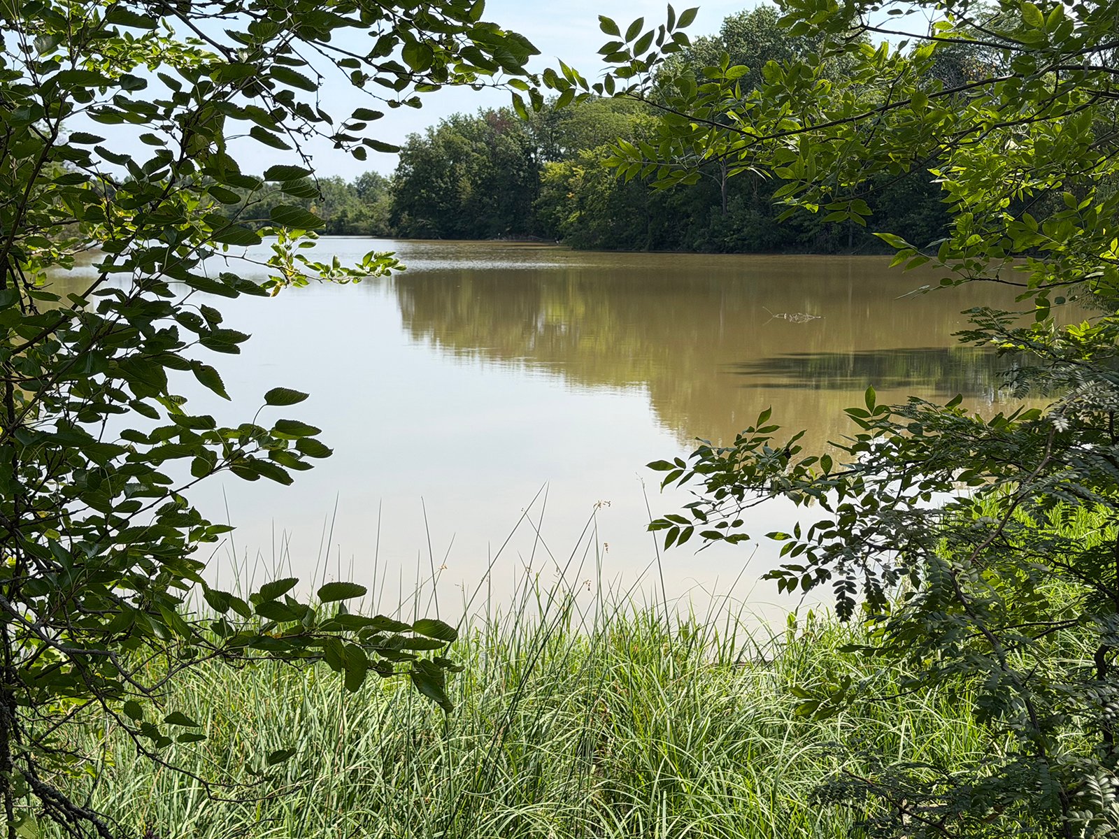 Property photo 59 - FARMLAND AUCTION - 124+/-ACRES OFFERED IN 9 TRACTS IN DEFIANCE COUNTY, OHIO
