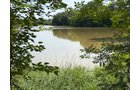 Property photo 59 - FARMLAND AUCTION - 124+/-ACRES OFFERED IN 9 TRACTS IN DEFIANCE COUNTY, OHIO