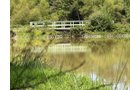 Property photo 60 - FARMLAND AUCTION - 124+/-ACRES OFFERED IN 9 TRACTS IN DEFIANCE COUNTY, OHIO