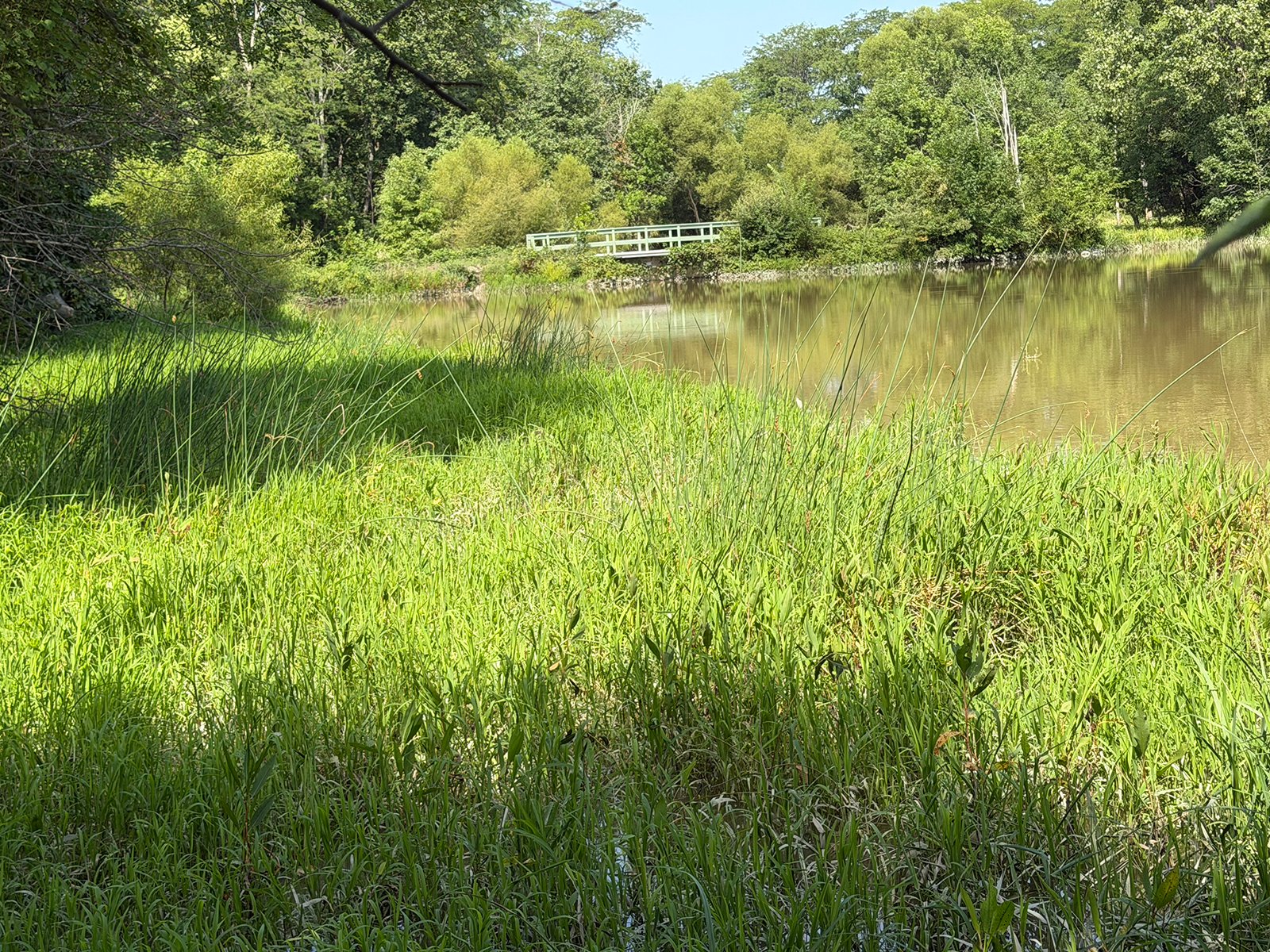 Property photo 41 - FARMLAND AUCTION - 124+/-ACRES OFFERED IN 9 TRACTS IN DEFIANCE COUNTY, OHIO