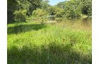 Property photo 41 - FARMLAND AUCTION - 124+/-ACRES OFFERED IN 9 TRACTS IN DEFIANCE COUNTY, OHIO