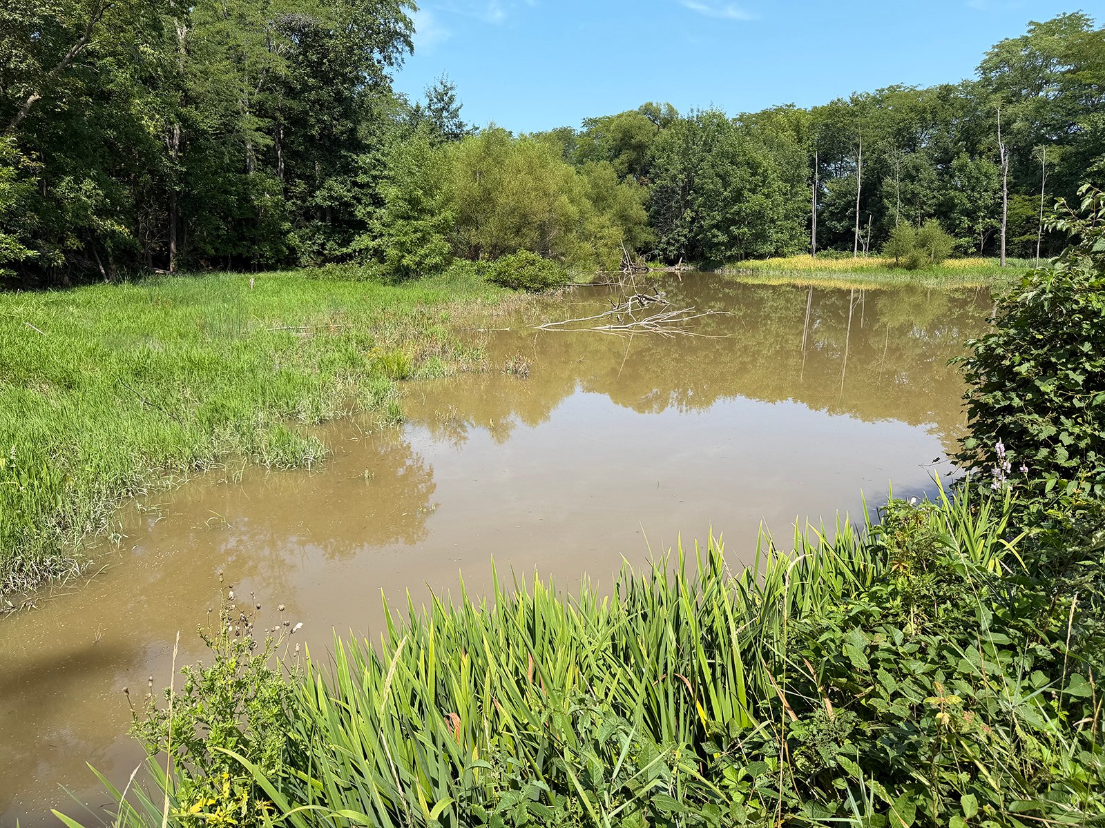 Property photo 61 - FARMLAND AUCTION - 124+/-ACRES OFFERED IN 9 TRACTS IN DEFIANCE COUNTY, OHIO