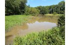 Property photo 61 - FARMLAND AUCTION - 124+/-ACRES OFFERED IN 9 TRACTS IN DEFIANCE COUNTY, OHIO