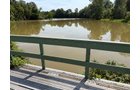Property photo 57 - FARMLAND AUCTION - 124+/-ACRES OFFERED IN 9 TRACTS IN DEFIANCE COUNTY, OHIO