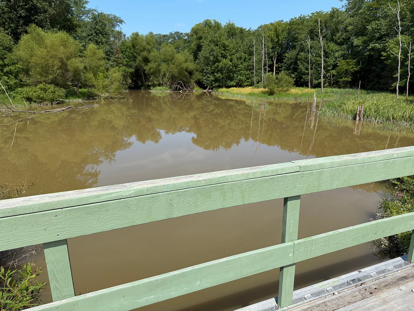 Property photo 56 - FARMLAND AUCTION - 124+/-ACRES OFFERED IN 9 TRACTS IN DEFIANCE COUNTY, OHIO