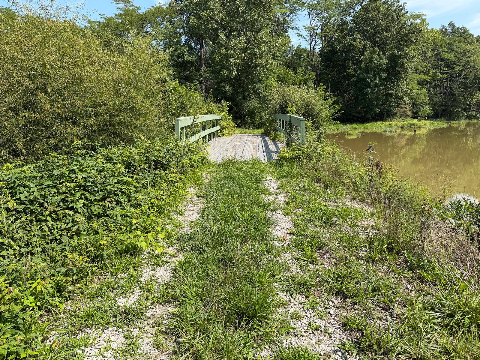 Property photo 42 - FARMLAND AUCTION - 124+/-ACRES OFFERED IN 9 TRACTS IN DEFIANCE COUNTY, OHIO