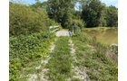 Property photo 42 - FARMLAND AUCTION - 124+/-ACRES OFFERED IN 9 TRACTS IN DEFIANCE COUNTY, OHIO