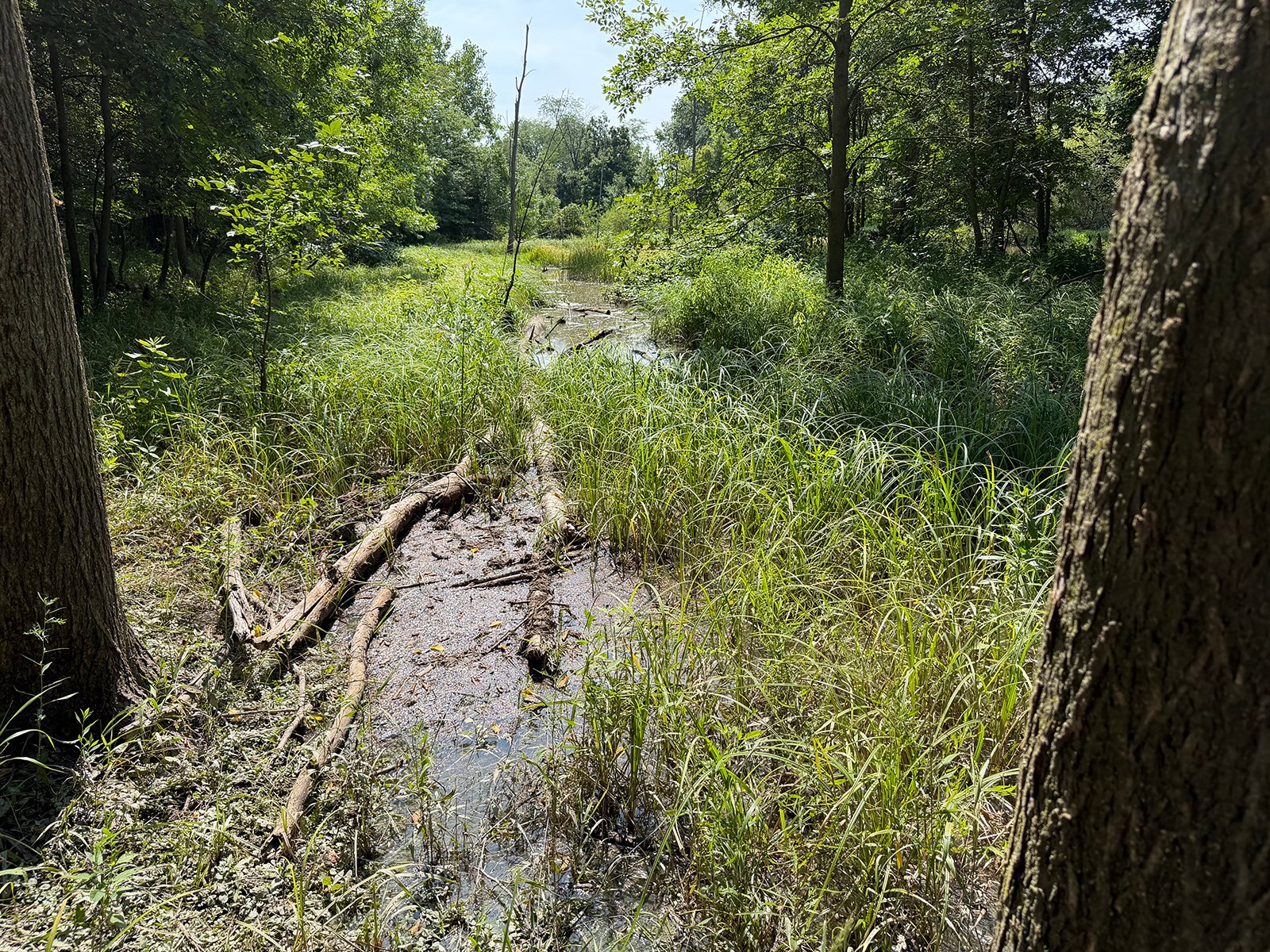 Property photo 64 - FARMLAND AUCTION - 124+/-ACRES OFFERED IN 9 TRACTS IN DEFIANCE COUNTY, OHIO