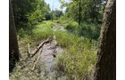 Property photo 64 - FARMLAND AUCTION - 124+/-ACRES OFFERED IN 9 TRACTS IN DEFIANCE COUNTY, OHIO