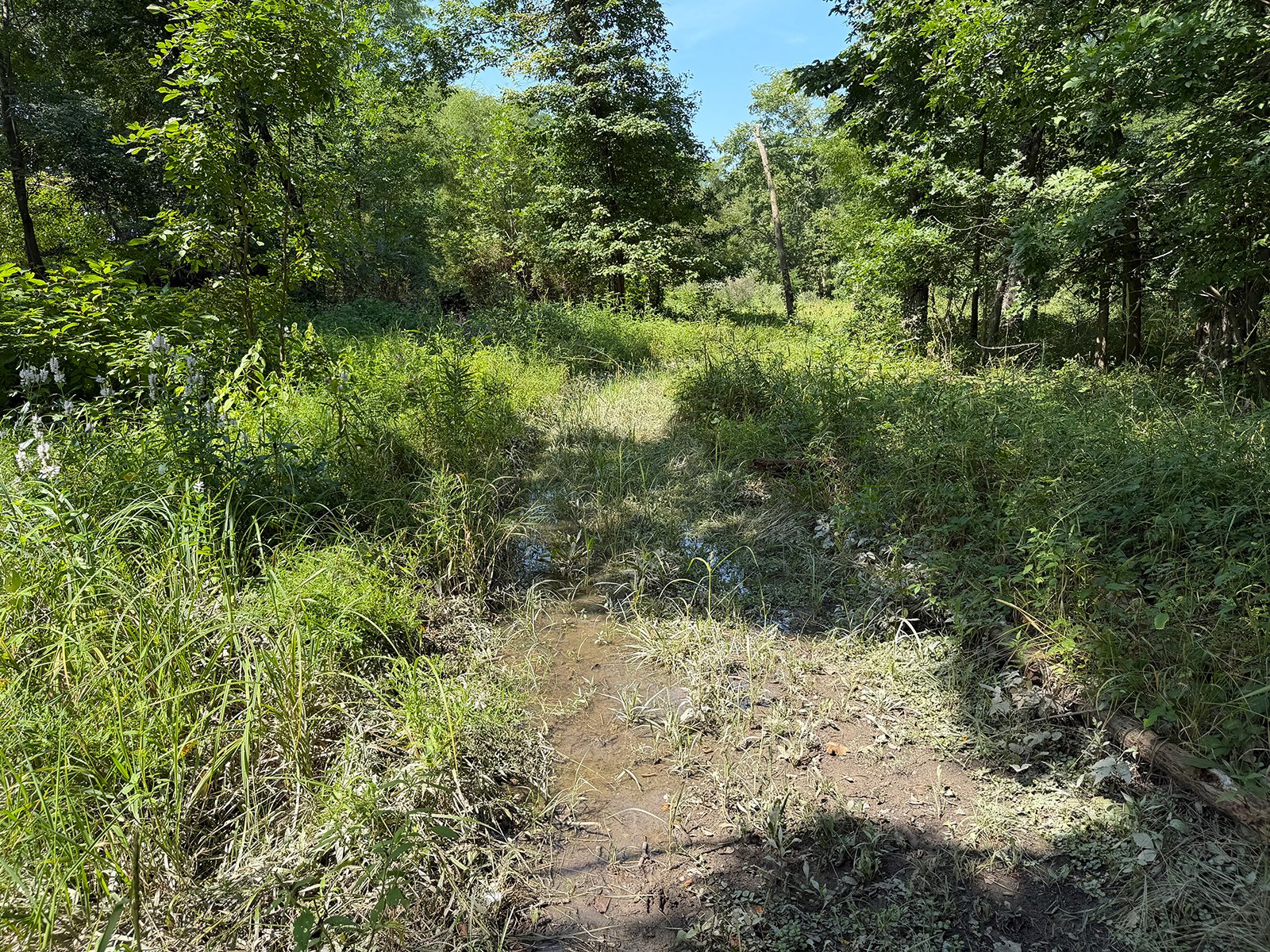 Property photo 65 - FARMLAND AUCTION - 124+/-ACRES OFFERED IN 9 TRACTS IN DEFIANCE COUNTY, OHIO