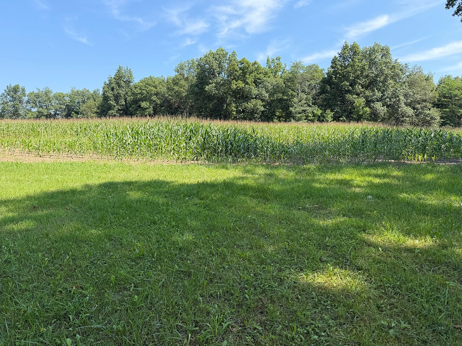 Property photo 43 - FARMLAND AUCTION - 124+/-ACRES OFFERED IN 9 TRACTS IN DEFIANCE COUNTY, OHIO