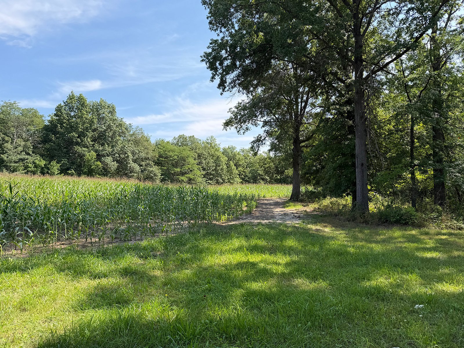 Property photo 54 - FARMLAND AUCTION - 124+/-ACRES OFFERED IN 9 TRACTS IN DEFIANCE COUNTY, OHIO