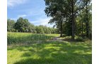 Property photo 54 - FARMLAND AUCTION - 124+/-ACRES OFFERED IN 9 TRACTS IN DEFIANCE COUNTY, OHIO