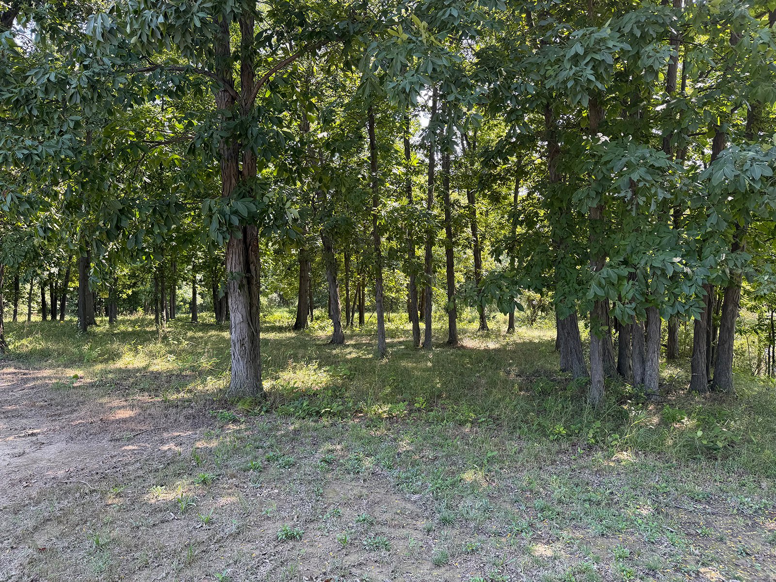 Property photo 66 - FARMLAND AUCTION - 124+/-ACRES OFFERED IN 9 TRACTS IN DEFIANCE COUNTY, OHIO