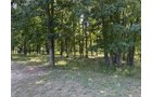 Property photo 66 - FARMLAND AUCTION - 124+/-ACRES OFFERED IN 9 TRACTS IN DEFIANCE COUNTY, OHIO
