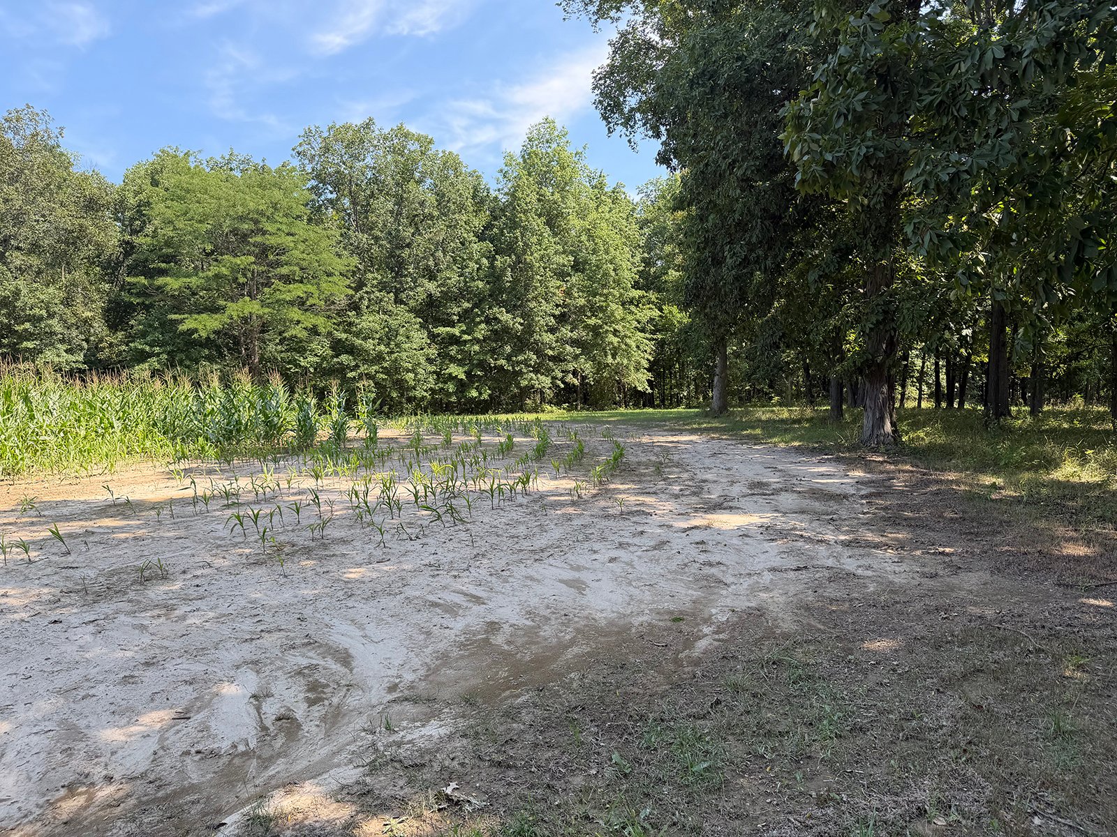 Property photo 55 - FARMLAND AUCTION - 124+/-ACRES OFFERED IN 9 TRACTS IN DEFIANCE COUNTY, OHIO
