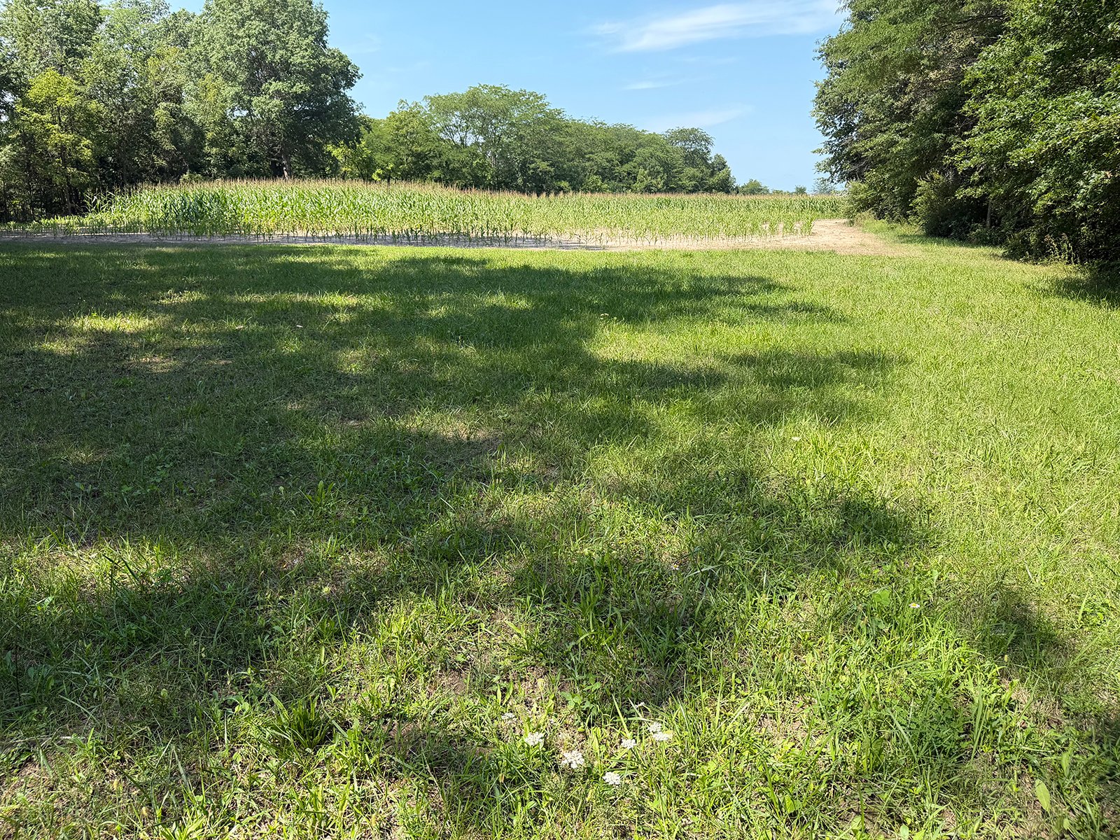 Property photo 44 - FARMLAND AUCTION - 124+/-ACRES OFFERED IN 9 TRACTS IN DEFIANCE COUNTY, OHIO