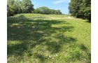 Property photo 44 - FARMLAND AUCTION - 124+/-ACRES OFFERED IN 9 TRACTS IN DEFIANCE COUNTY, OHIO