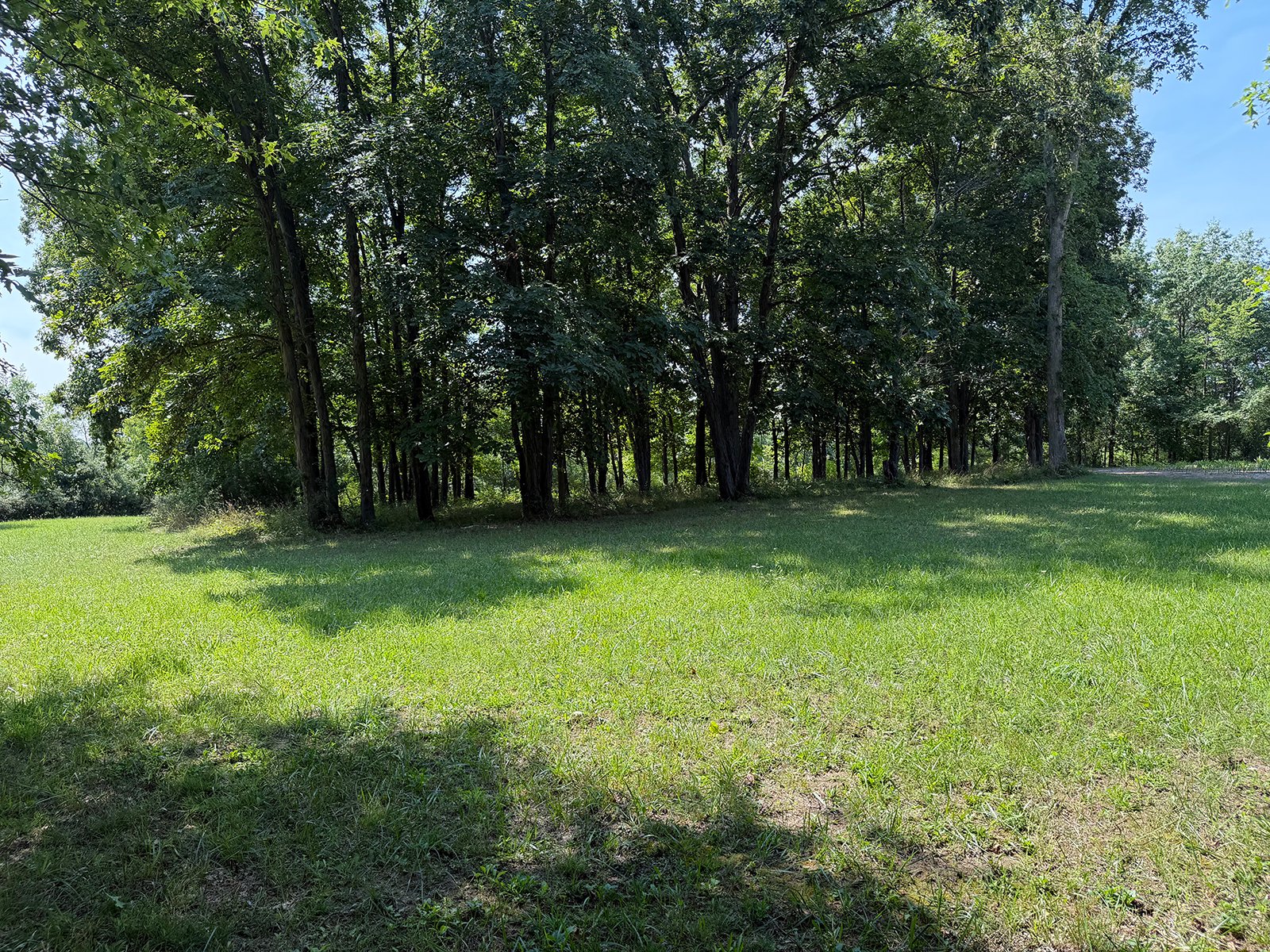 Property photo 45 - FARMLAND AUCTION - 124+/-ACRES OFFERED IN 9 TRACTS IN DEFIANCE COUNTY, OHIO