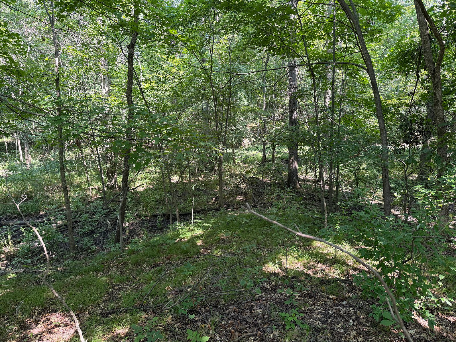 Property photo 67 - FARMLAND AUCTION - 124+/-ACRES OFFERED IN 9 TRACTS IN DEFIANCE COUNTY, OHIO