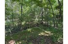 Property photo 67 - FARMLAND AUCTION - 124+/-ACRES OFFERED IN 9 TRACTS IN DEFIANCE COUNTY, OHIO