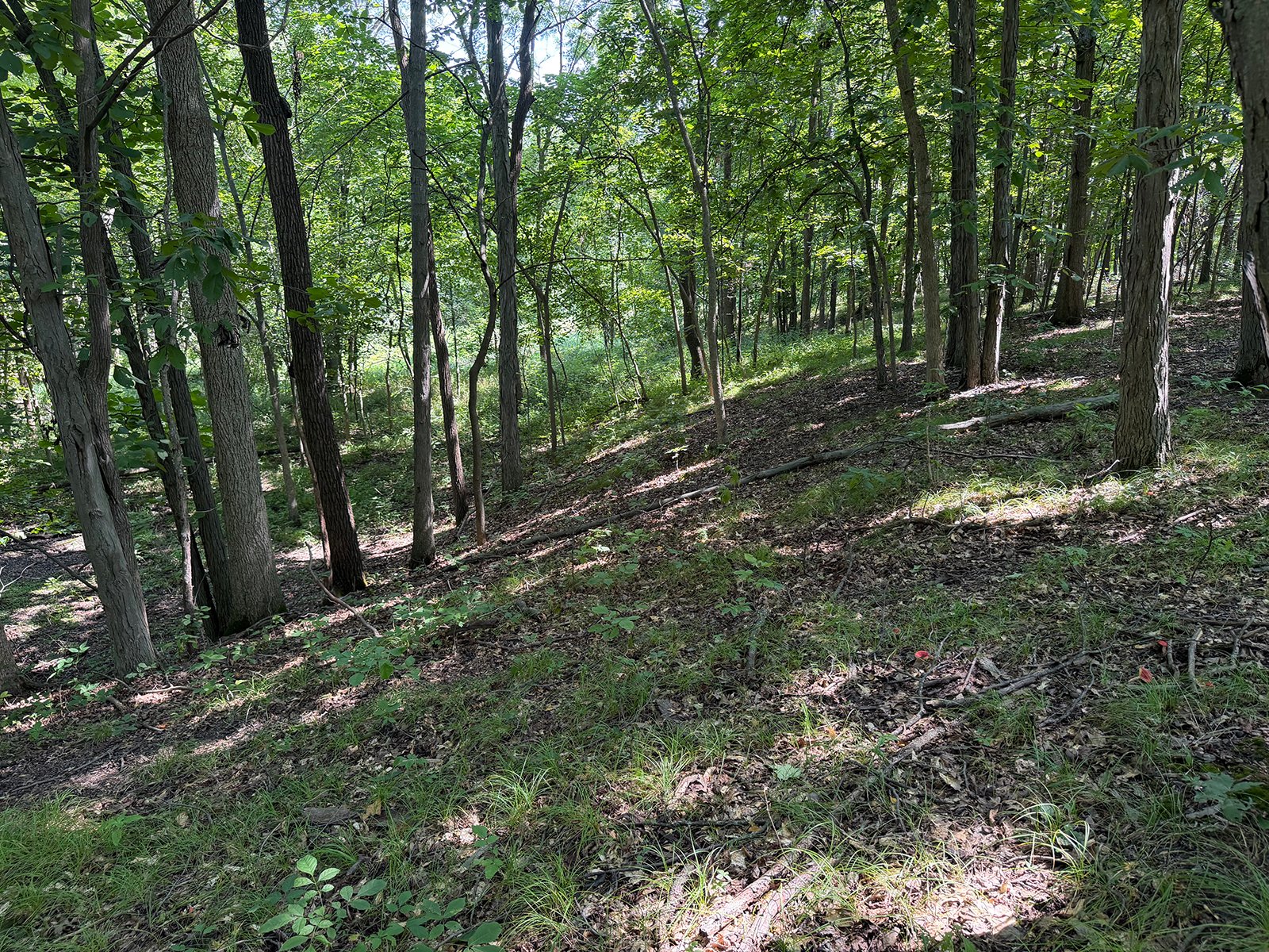 Property photo 68 - FARMLAND AUCTION - 124+/-ACRES OFFERED IN 9 TRACTS IN DEFIANCE COUNTY, OHIO