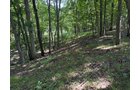 Property photo 68 - FARMLAND AUCTION - 124+/-ACRES OFFERED IN 9 TRACTS IN DEFIANCE COUNTY, OHIO