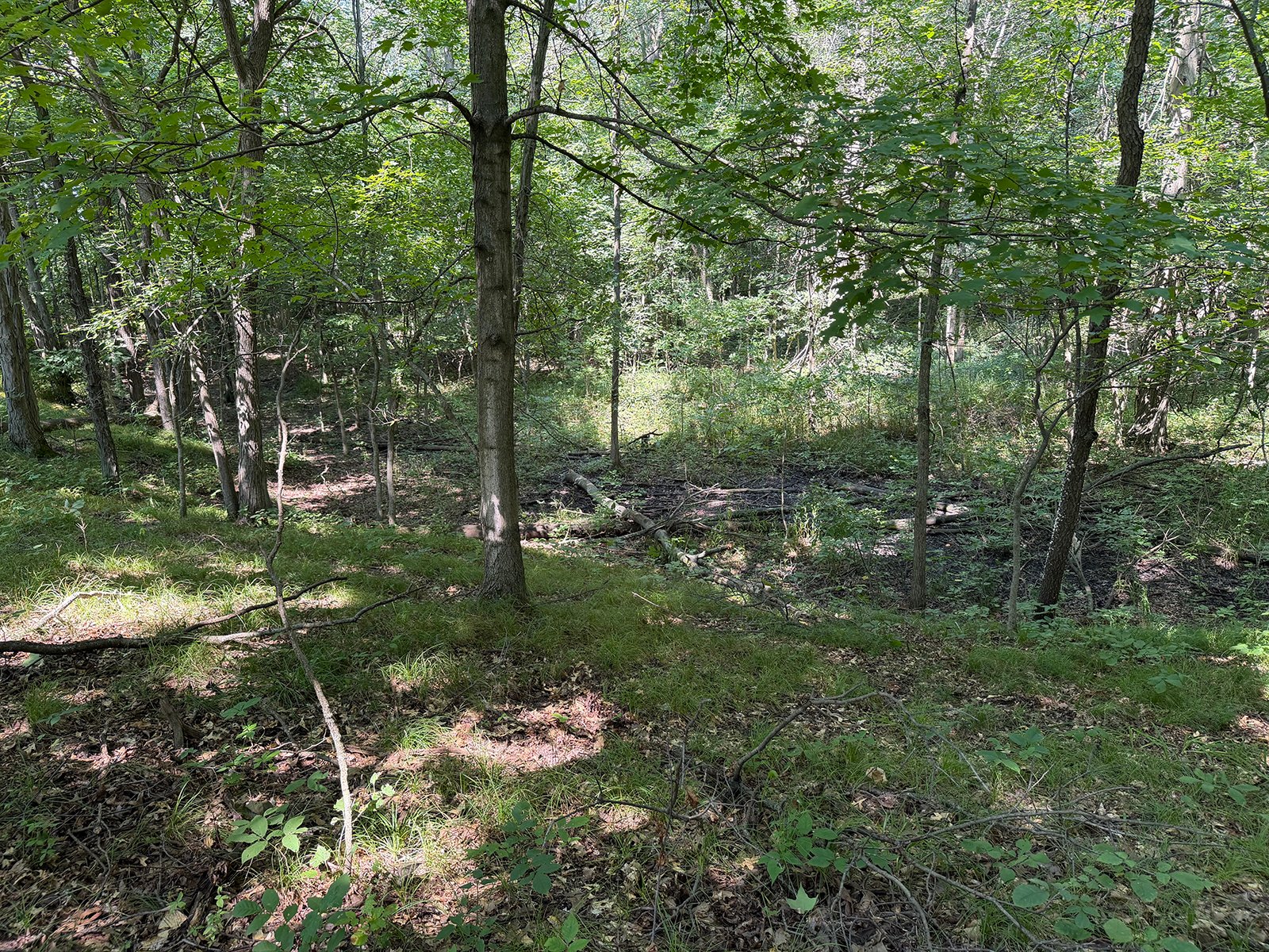 Property photo 69 - FARMLAND AUCTION - 124+/-ACRES OFFERED IN 9 TRACTS IN DEFIANCE COUNTY, OHIO