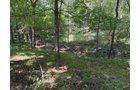 Property photo 69 - FARMLAND AUCTION - 124+/-ACRES OFFERED IN 9 TRACTS IN DEFIANCE COUNTY, OHIO