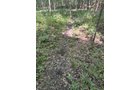 Property photo 70 - FARMLAND AUCTION - 124+/-ACRES OFFERED IN 9 TRACTS IN DEFIANCE COUNTY, OHIO