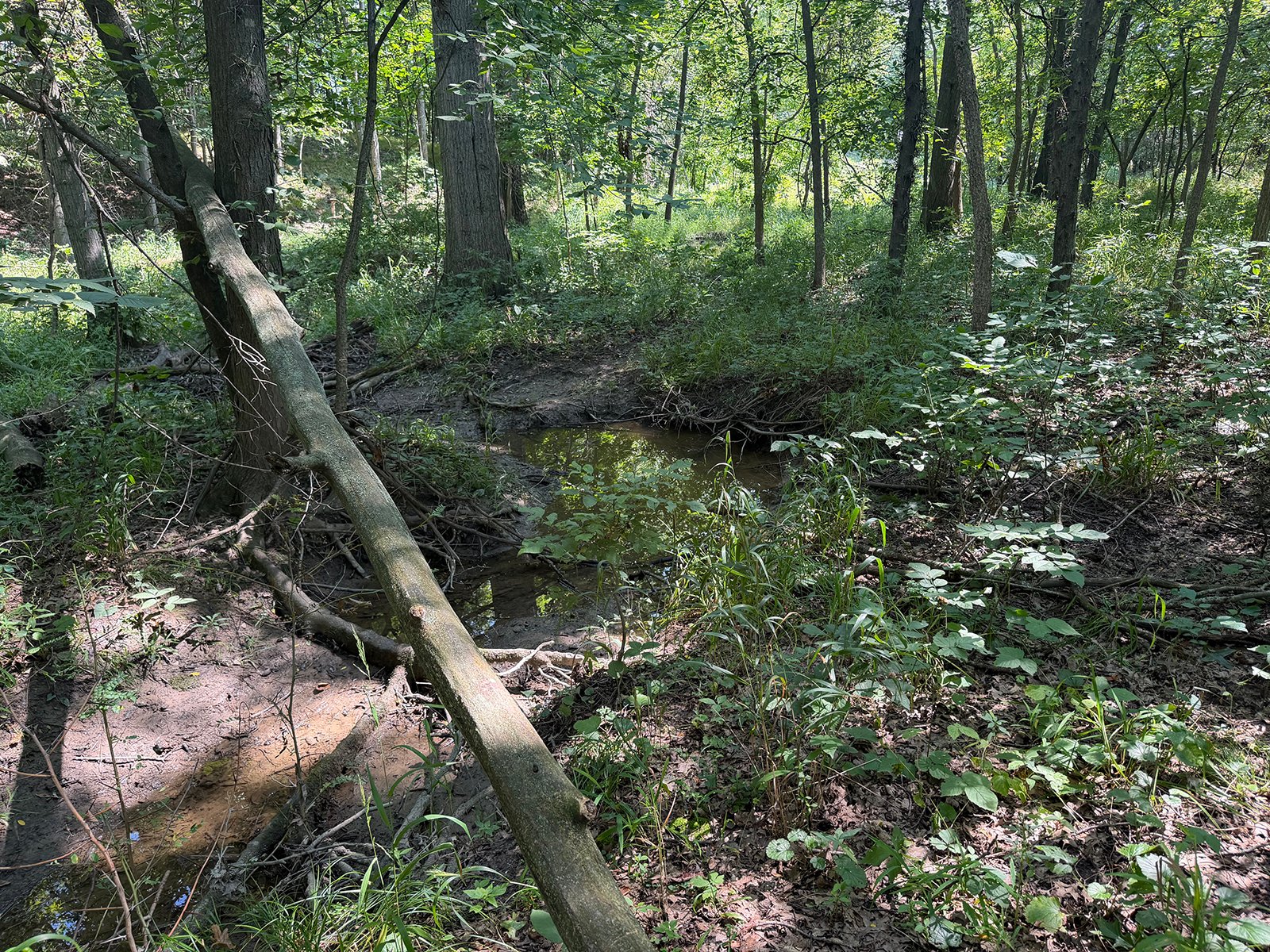 Property photo 71 - FARMLAND AUCTION - 124+/-ACRES OFFERED IN 9 TRACTS IN DEFIANCE COUNTY, OHIO