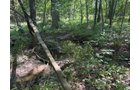 Property photo 71 - FARMLAND AUCTION - 124+/-ACRES OFFERED IN 9 TRACTS IN DEFIANCE COUNTY, OHIO